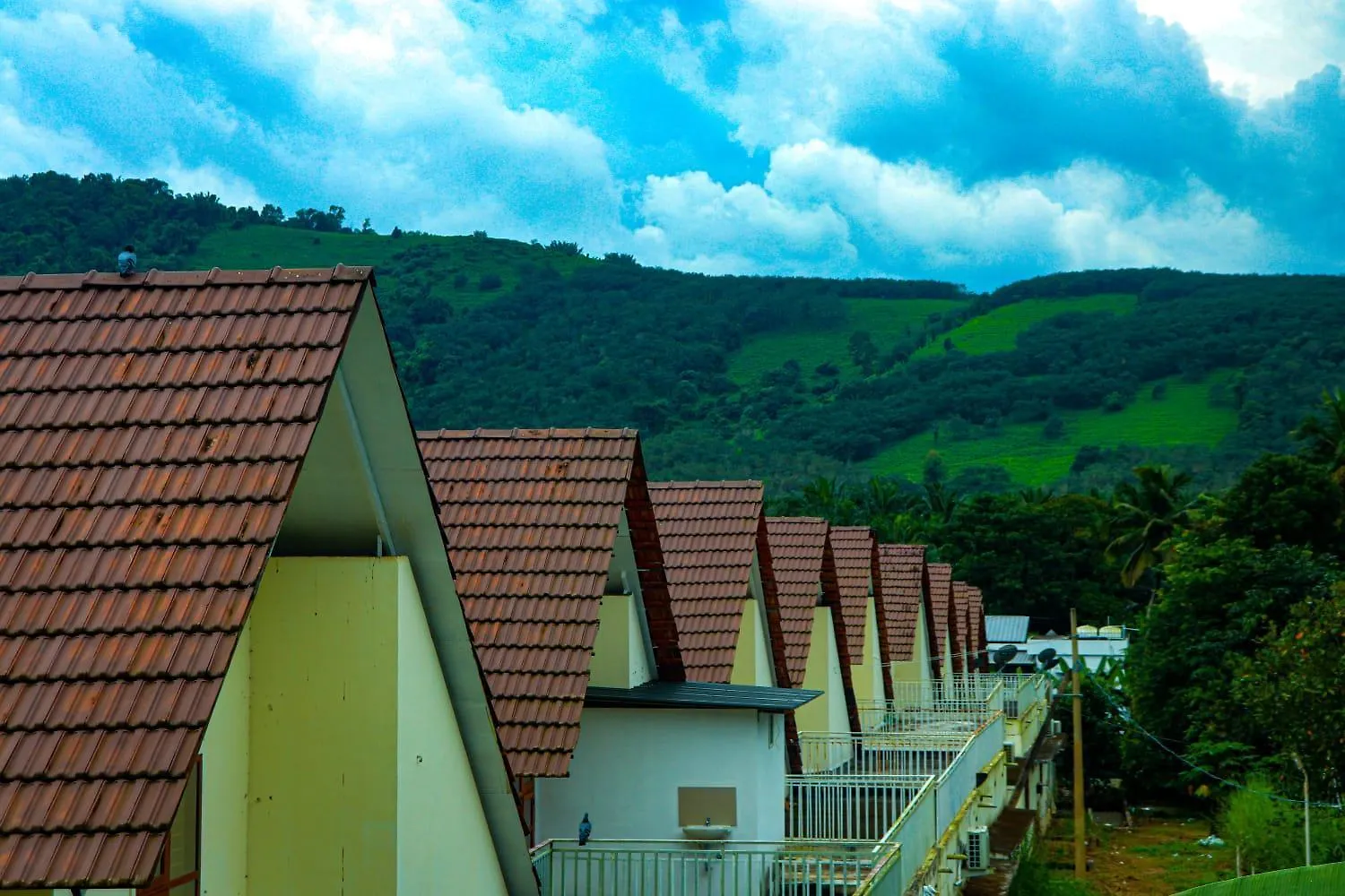 Nest Resorts Athirappilly 0*,