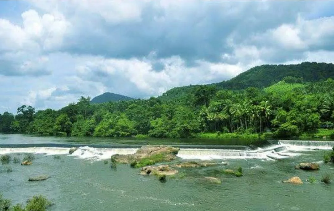 Nest Resorts Athirappilly